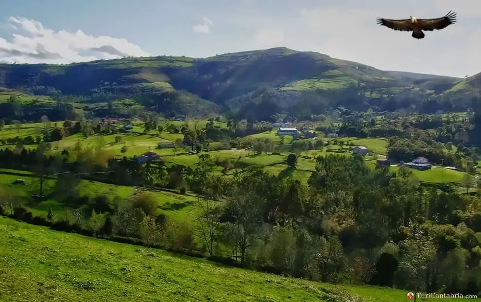 Descubre los encantos de Solorzano en Cantabria: un destino imperdible